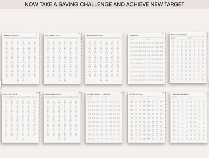 Digital Budget Planner: GoodNotes Finance Tracker (Digital Download)